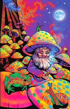 Psychedelický Kráľ Húb Magic Trippy Groovy Hippie Hodváb Plagát Na Stenu-Nálepky Dekorácie, Darčeky
