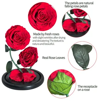 2 Hlavy Večná Ruža V Dome Sklo Kráska a Zviera Enhanched Umelé Ruže Kvet pre Jej Valentine Narodeninám, Svadobný Dar